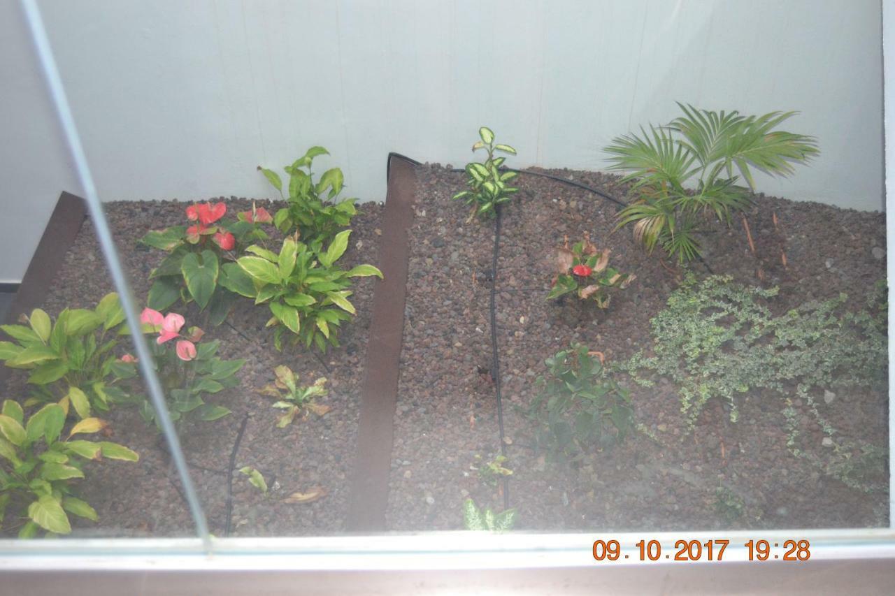 Mapagadi Appartement Arucas Buitenkant foto